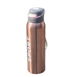 Sports Stainless Steel Water Bottle | With Straw | Glossy | 500 ML
