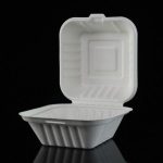 Biodegredable Burger Box