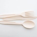 Plastic Corn Strach Cutlery