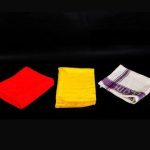 Check Cloth Dusters
