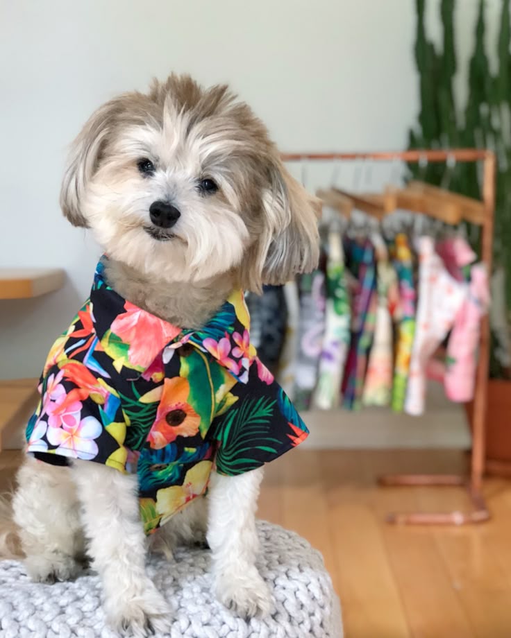 Hawaiian print dog shirt by Dog Threads