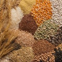 Less Than a Third of the World Can Feed Itself From Local Crops, Says Study – Modern Farmer Less Than a Third of the World Can Feed Itself From Local Crops, Says Study - Modern Farmer