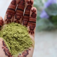 USDA Organic Rajasthani BAQ Henna Powder USDA Organic Rajasthani BAQ Henna Powder